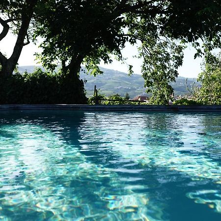 Quinta De Villa Franca - Douro ペーゾ・ダ・レーグア エクステリア 写真