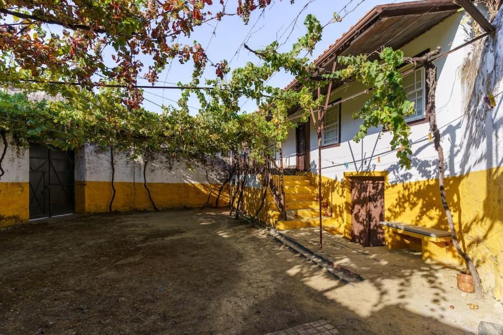 Quinta De Villa Franca - Douro ペーゾ・ダ・レーグア エクステリア 写真