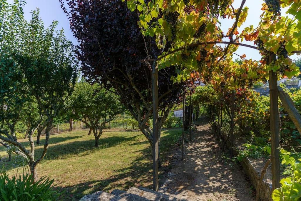 Quinta De Villa Franca - Douro ペーゾ・ダ・レーグア エクステリア 写真