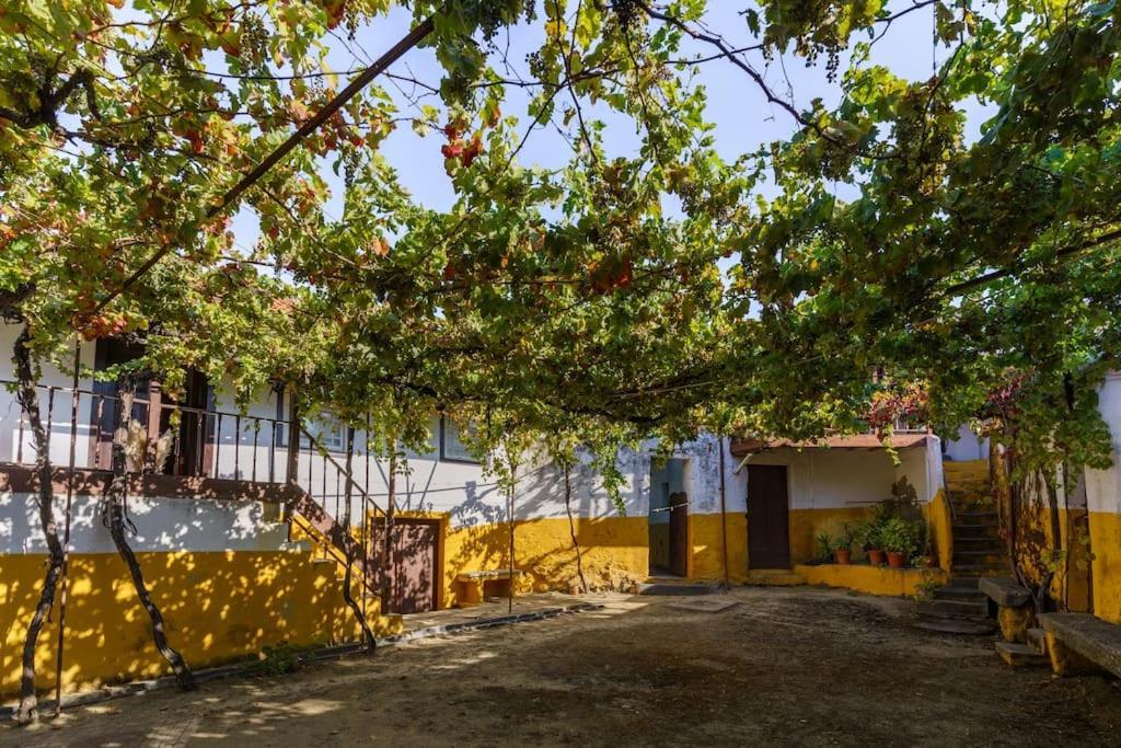 Quinta De Villa Franca - Douro ペーゾ・ダ・レーグア エクステリア 写真
